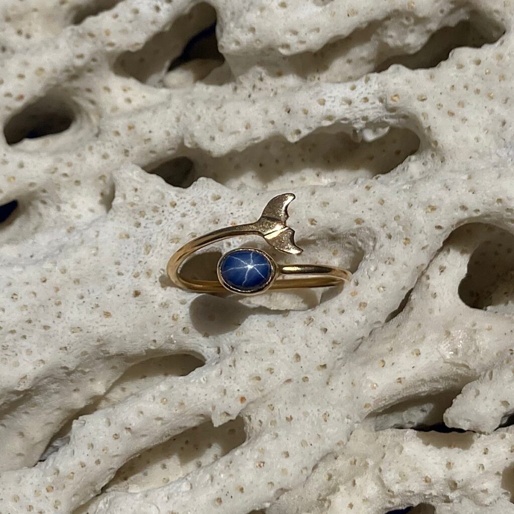 Tout sur la mygale bleue de Thaïlande