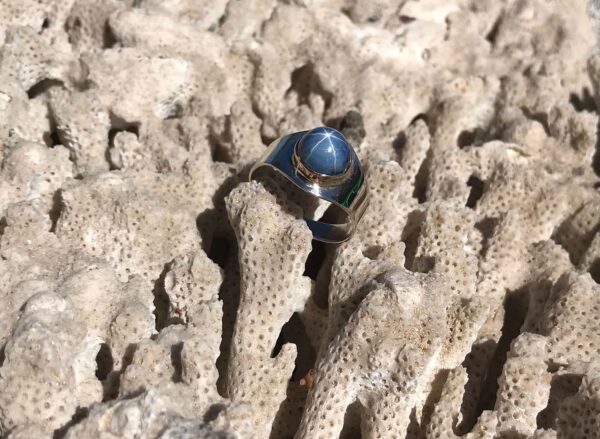 Bague Tamarin Argent & Or