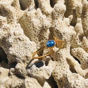 Bague queue de baleine en or