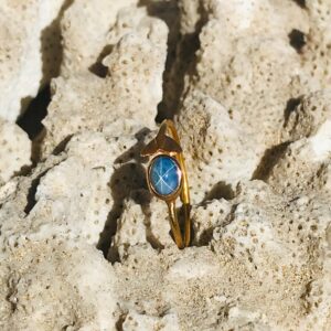 Bague queue de baleine en or