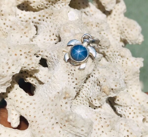 Pendentif tortue en argent