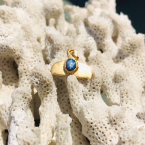 Pendentif queue de baleine en or