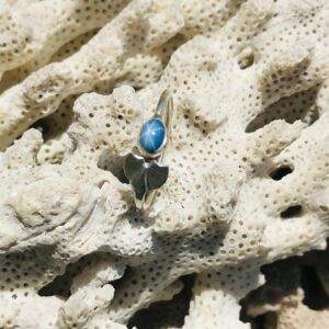 Bague queue de baleine en argent