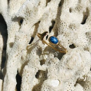 Bague queue de baleine en or